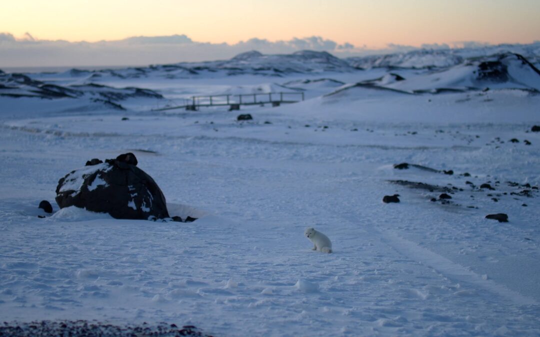 How is the Weather in Iceland in Winter?